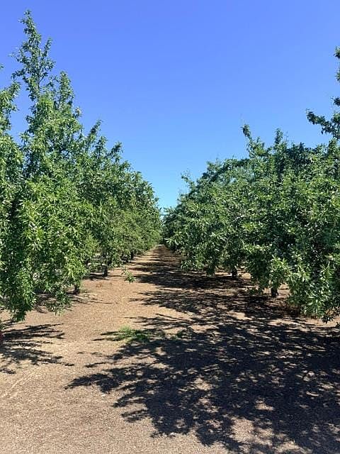 1st image of 0 Service Rd
