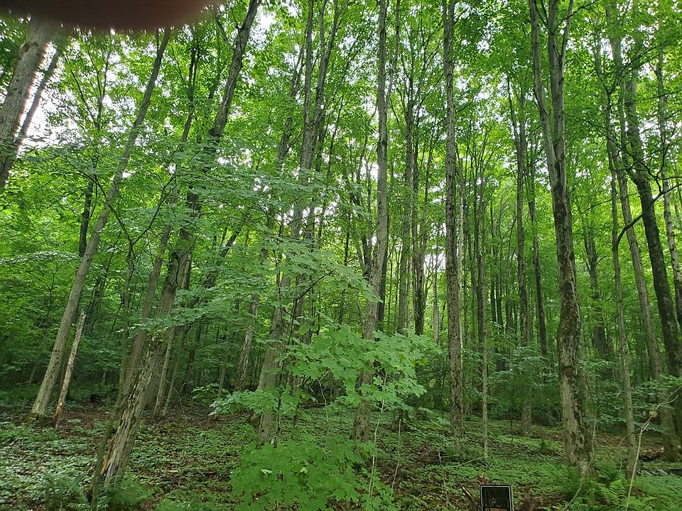 2nd image of 10636 County Route 7