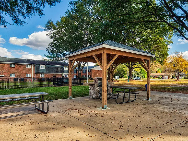 Grilling and Picnic Patio
