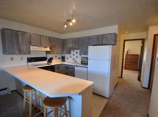 306Q Dillon Valley E #993, Dillon, CO 80435