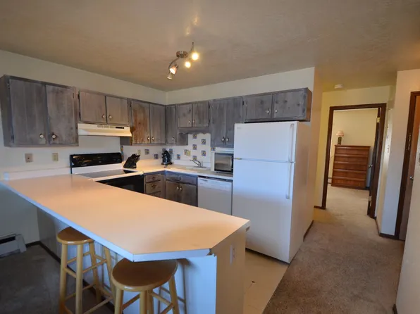 306Q Dillon Valley E #993, Dillon, CO 80435