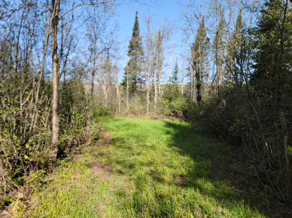 On County Highway W, Winter, WI 54896