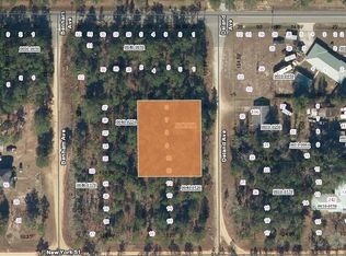 106 Deland Ave, Interlachen, FL 32148