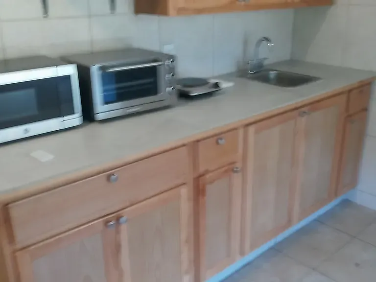 Studio, 200 sqft, $1,200 — Photo 4