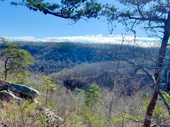 721 Skull Bone Tower Rd Parcel A, Stearns, KY 42647