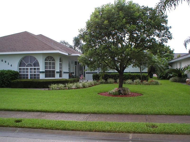 Front view
