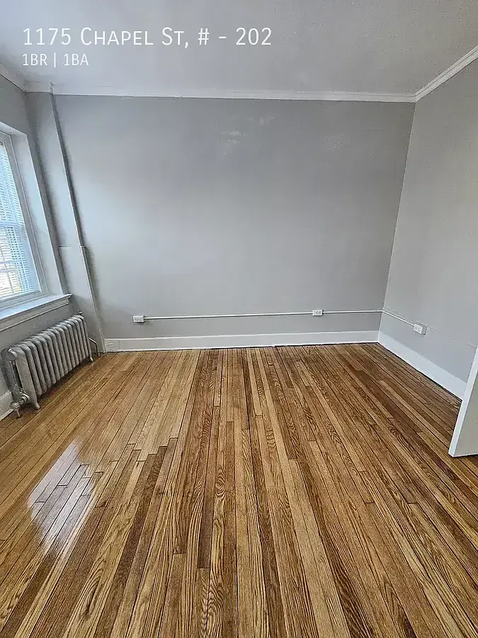 1175 Chapel St #202 — Photo 3