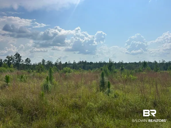 0 Bradley Rd, Brewton, AL 36426