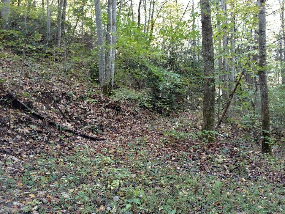 1st image of 0 Shady Springs Way