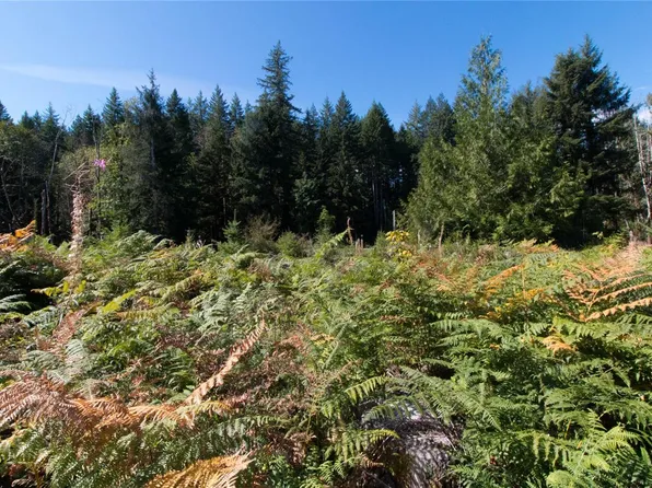 LOT 8 S Farnham Rd, Comox Valley, BC V9J 1N6