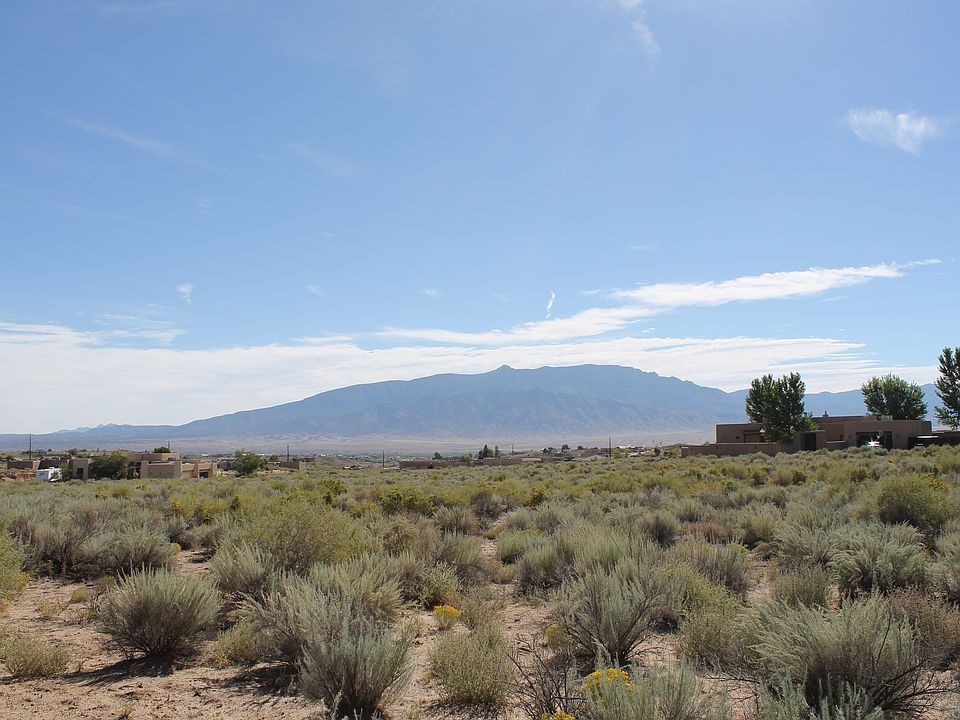View East from center of lot