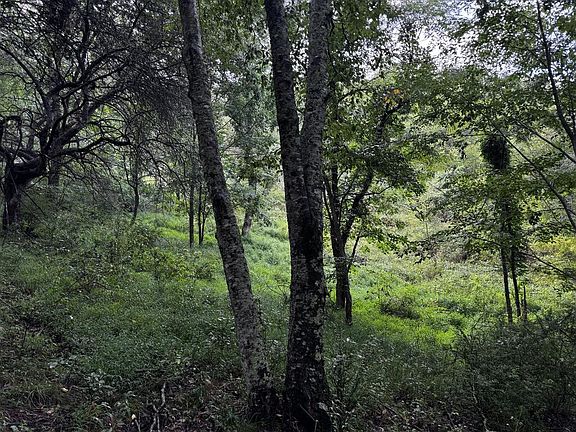 4th image of Tbd Point Lookout Ln