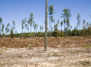 20 Pollett Rd TRACT 20, Bartow, GA 30413