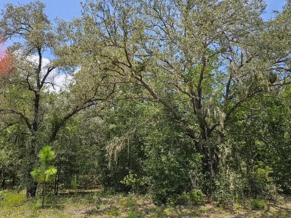1368 W Evergreen Dr, Citrus Springs, FL 34434