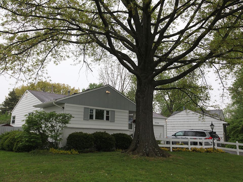 Shade tree in front