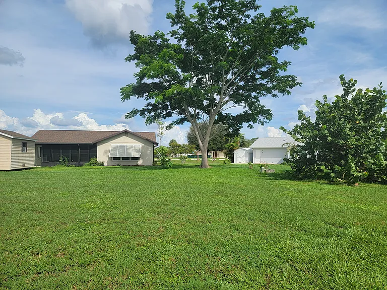 Backyard View