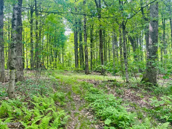 0 Greylock Estates Rd, Lanesborough, MA 01237