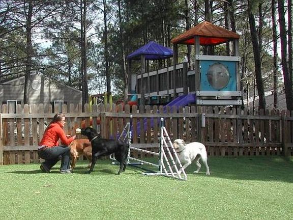 Leash Free Doggy Park