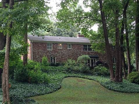 2nd image of 332 Chinquapin Dr
