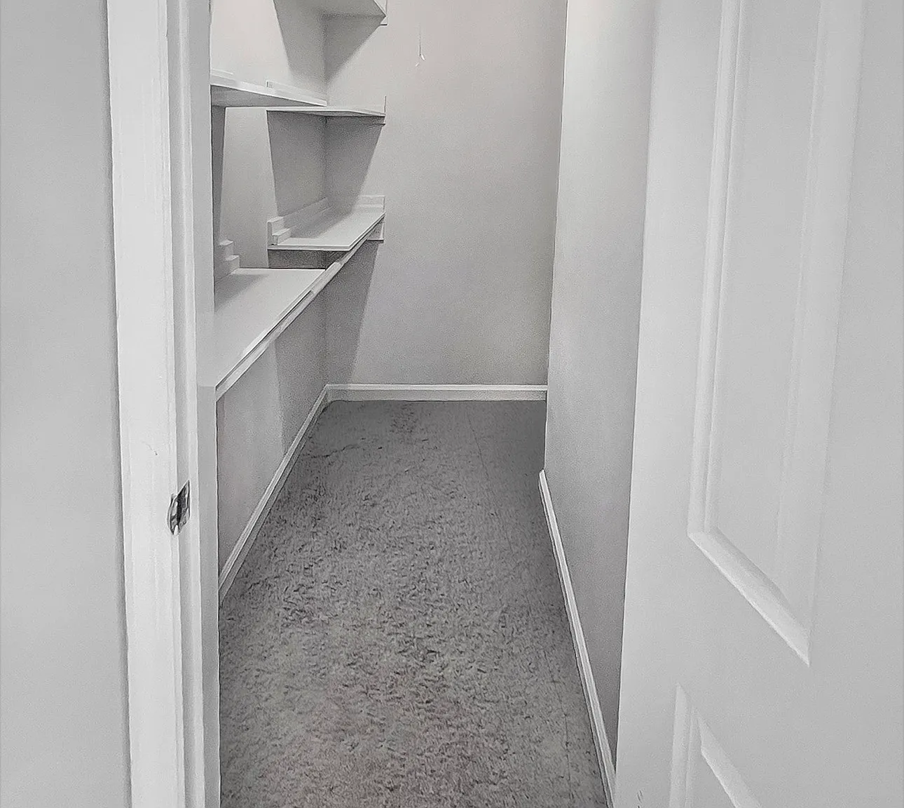 2 bed, 2.5 bath, 1240 sqft, $1,950 — Photo 2