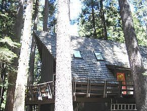 Side View