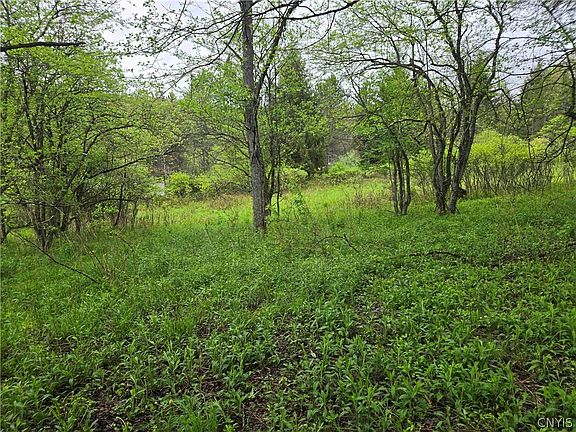 4th image of Mead Hollow Rd