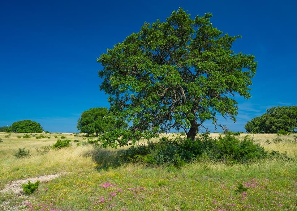 1st image of 3814 Ranch Rd #3235