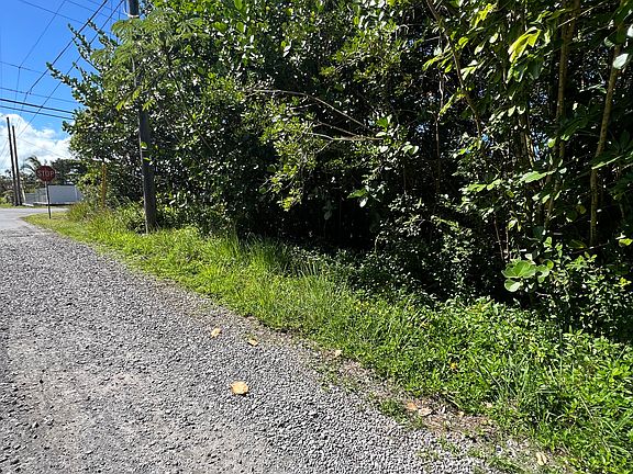 3rd image of Kaloli Dr Lot 2726