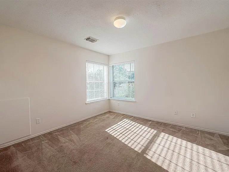 17210 Double Lilly Dr — Photo 31