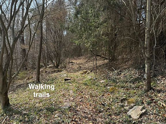 4th image of 101 Morgan Ln