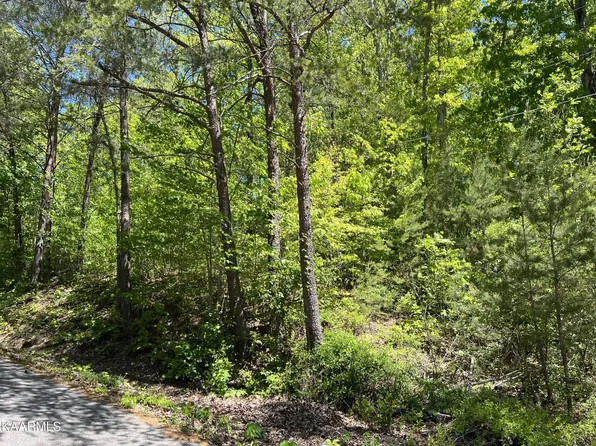 Bowman Dr, Jacksboro, TN 37757