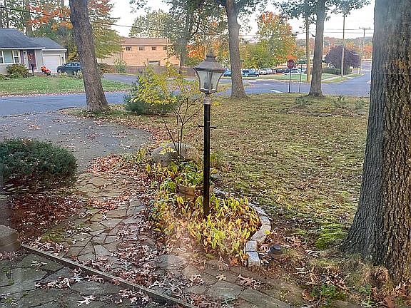 Bluestone walk & patio. 