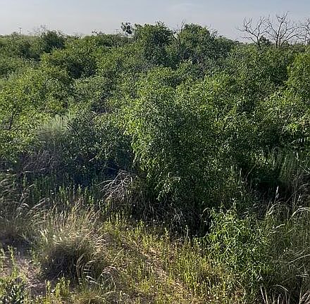 3rd image of 0 Us Highway 180 E Tract 6