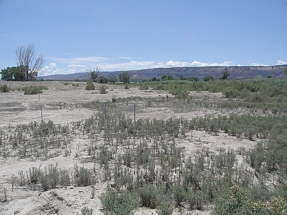 5th image of 21.5 Road