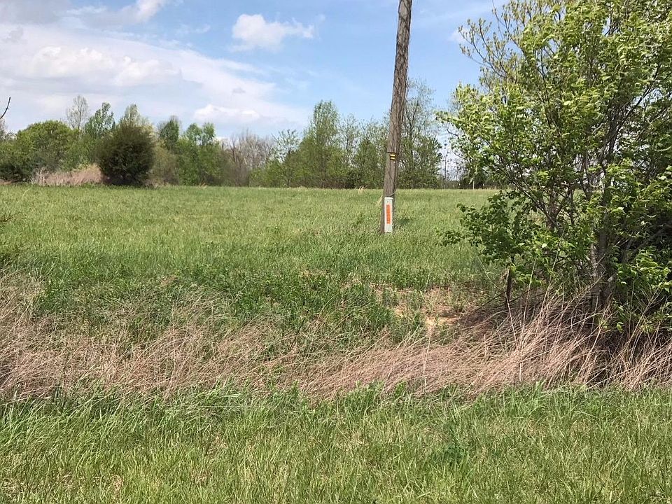 2nd image of 73 Spring Dr