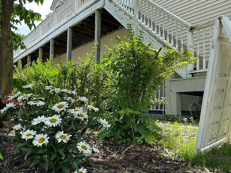 586 Commerce St #2B — Photo 2