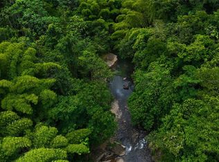 State Route 146 Km #19.4, Ciales, PR 00638