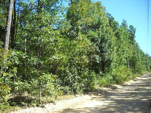 2nd image of Evergreen Rd