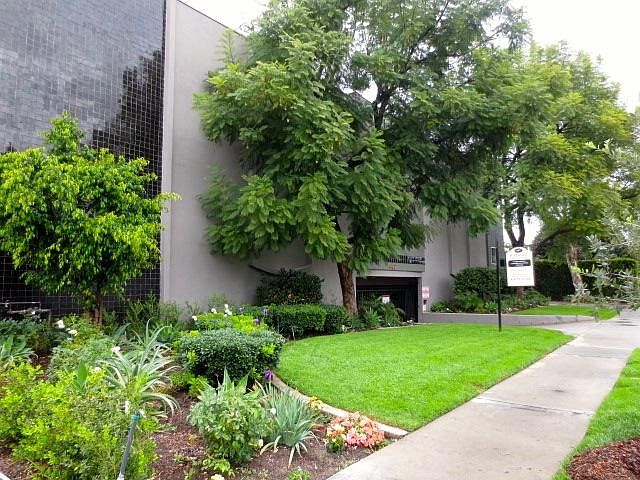 1st image of 447 W Elk Ave APT 6