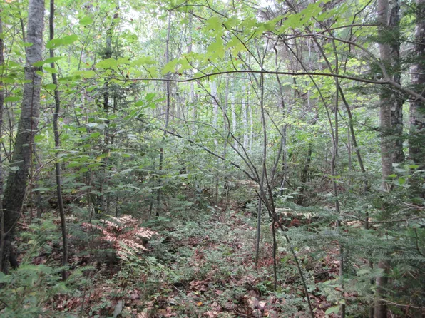 0 Cth W #M, Crandon, WI 54520