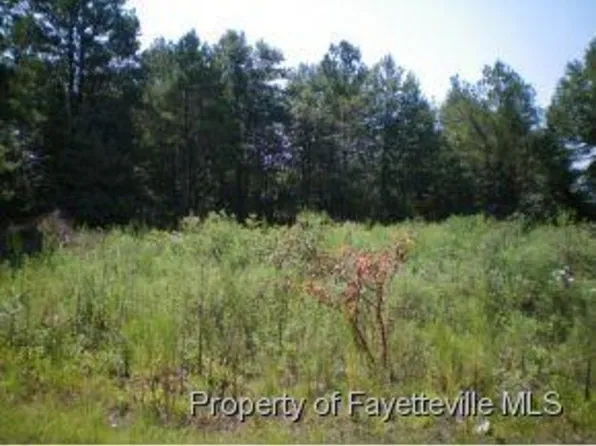 1878 Gumberry Ct, Hope Mills, NC 28348