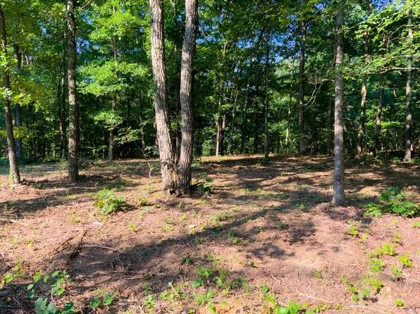 0 Highway 232 Lot 74, Dover, TN 37058
