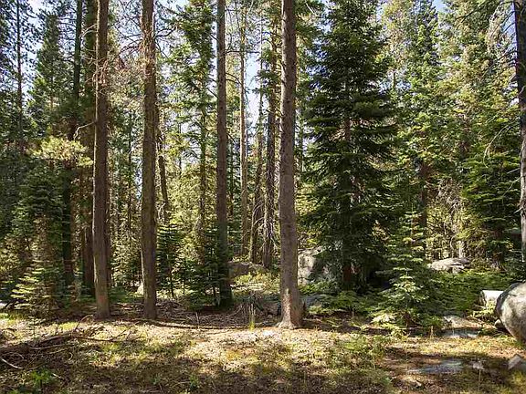2nd image of 51848 Tamarack Cres