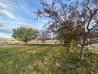 5th image of 32689 Blackhawk Loop