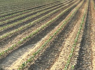 148 Fm 2236, Ralls, TX 79357