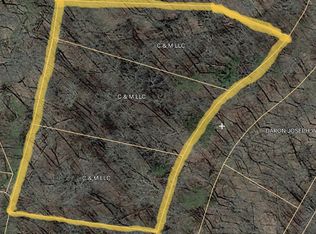 Tree Line Ln, White Pine, TN 37890