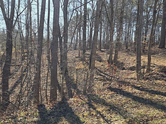 4th image of 917-923 Highway 86 Lot 1-4