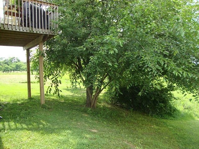 2nd image of 305 Brentwood Dr