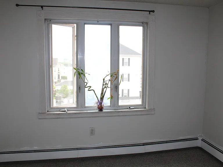 243 Robeson St #6 — Photo 5