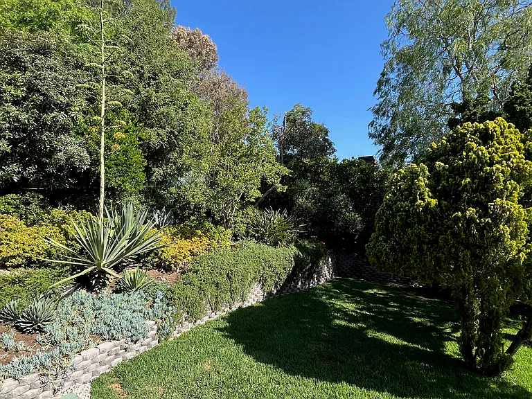 420 Tamarac Dr — Photo 6